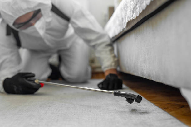 Professional Emergency Pest Control technician working in Ten Mile Creek, MD
