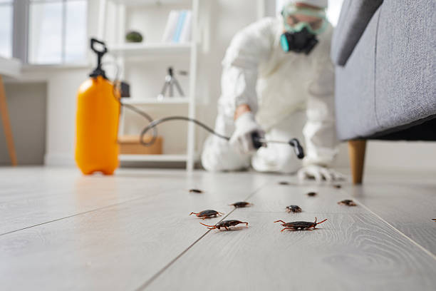 Trusted Rodent Control service in Ten Mile Creek, MD - Nex Pest Control