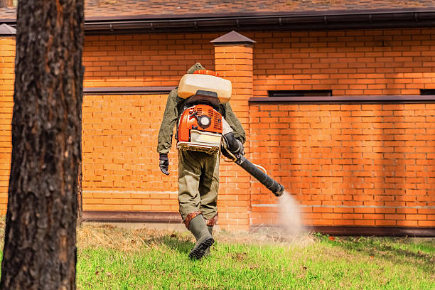 Trusted Cockroach Control service in Ten Mile Creek, MD - Nex Pest Control